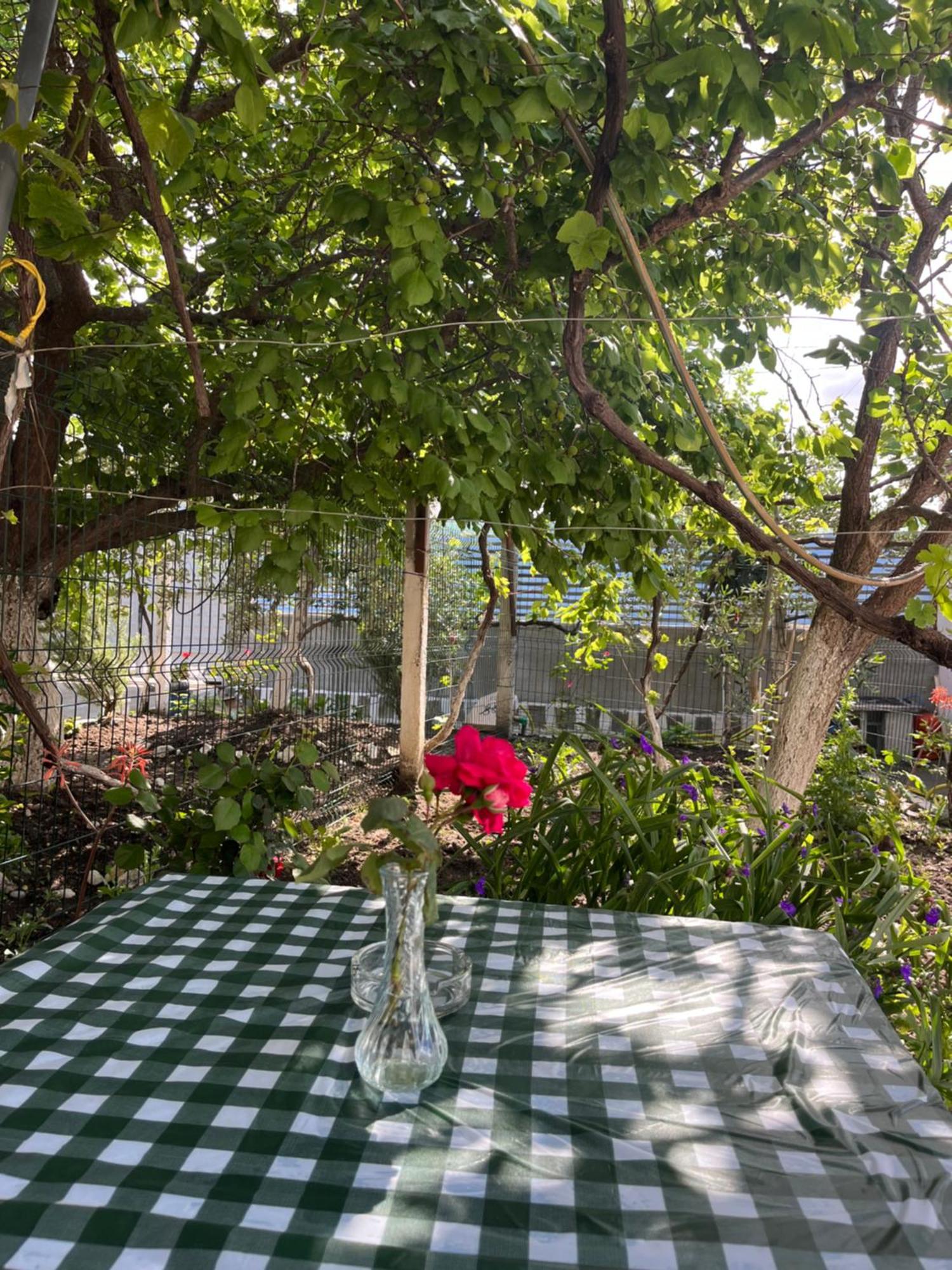 Vlorë Blossom Apartments מראה חיצוני תמונה