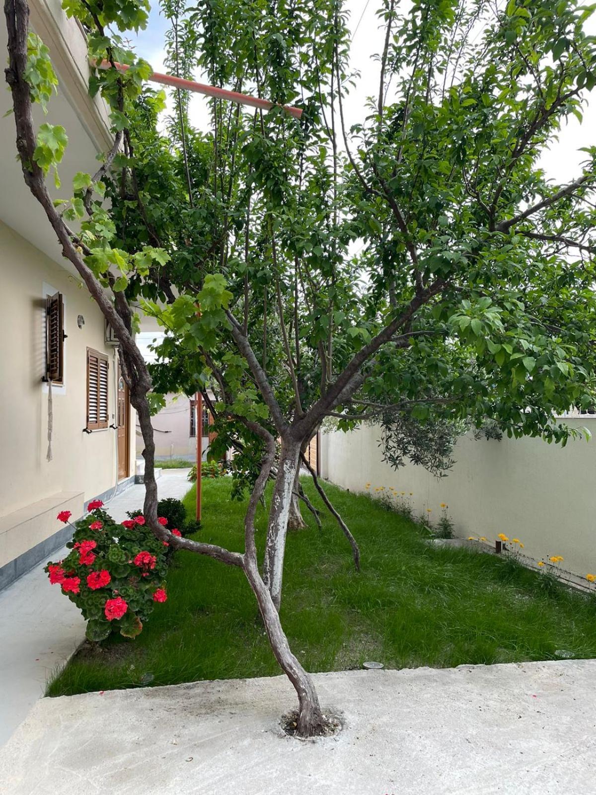 Vlorë Blossom Apartments מראה חיצוני תמונה
